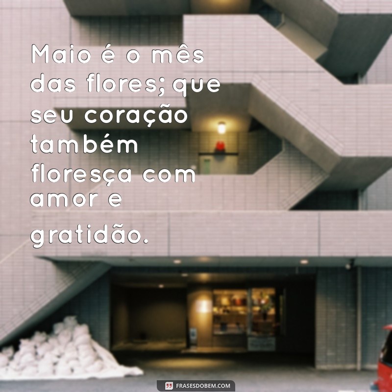 mensagem de maio Maio é o mês das flores; que seu coração também floresça com amor e gratidão.