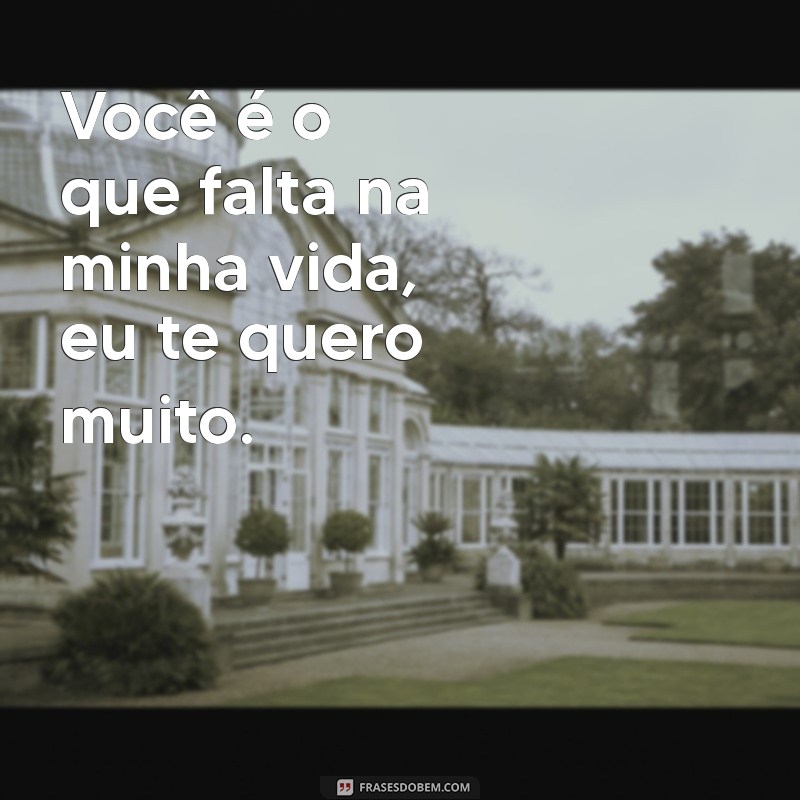 As Melhores Frases para Dizer Te Quero Muito e Encantar Seu Amor 