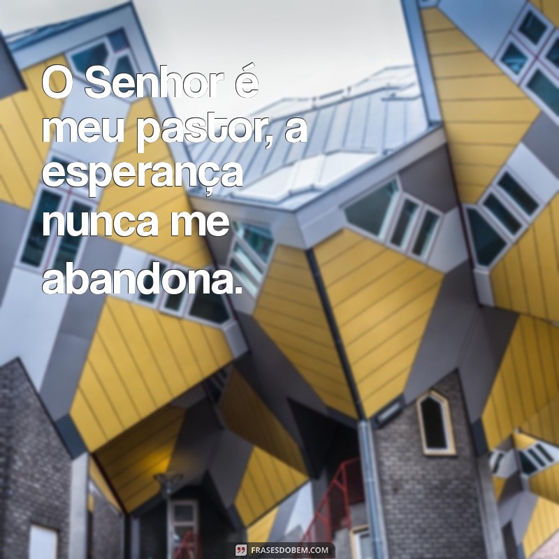 Como a Frase O Senhor é Meu Pastor e Ele Não Me Faltará Inspira Fé e Confiabilidade 