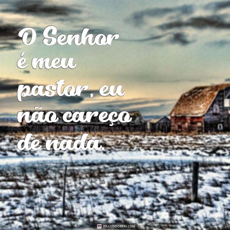 o senhor é meu pastor e ele não me faltará O Senhor é meu pastor, eu não careço de nada.