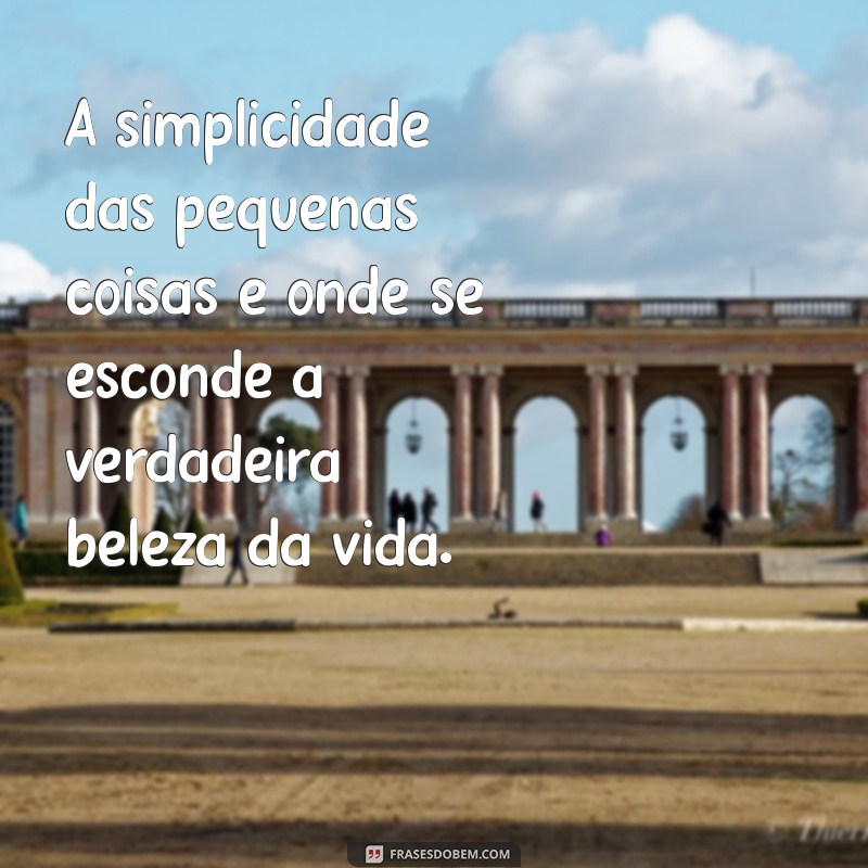 Descubra Frases Inspiradoras que Celebram a Beleza da Vida 