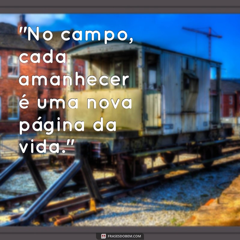 frases vida no campo 