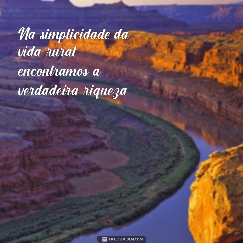 Frases Inspiradoras sobre a Vida no Campo: Conecte-se com a Natureza 