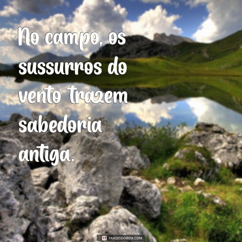 Frases Inspiradoras sobre a Vida no Campo: Conecte-se com a Natureza 