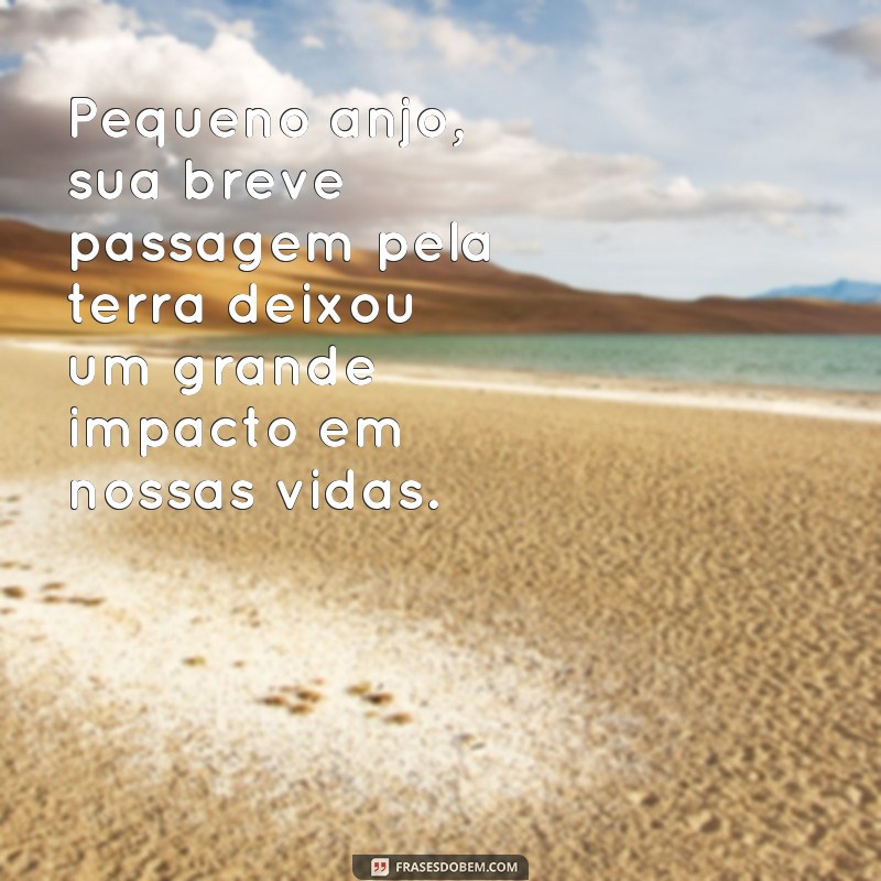 Emoção e conforto: 29 frases de luto para um bebê recém-nascido 