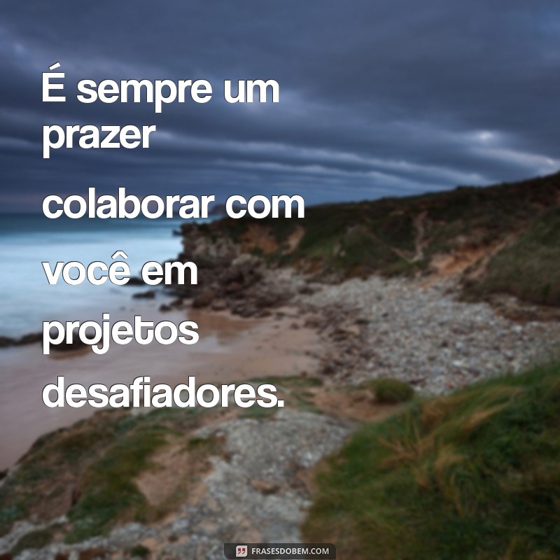 Frases Inspiradoras para Elogiar Profissionais e Reconhecer seu Talento 