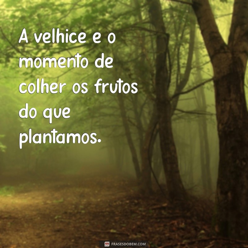 Frases Inspiradoras sobre Velhice: Reflexões e Sabedoria para Todas as Idades 