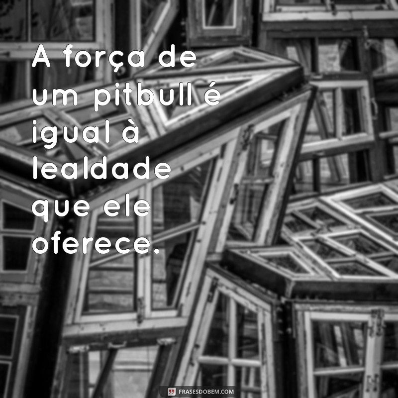 cachorro grande pitbull A força de um pitbull é igual à lealdade que ele oferece.