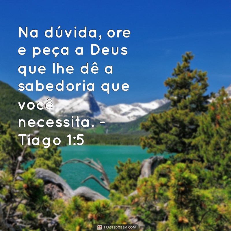 Os Melhores Versículos Bíblicos sobre Fé para Inspirar sua Caminhada Espiritual 