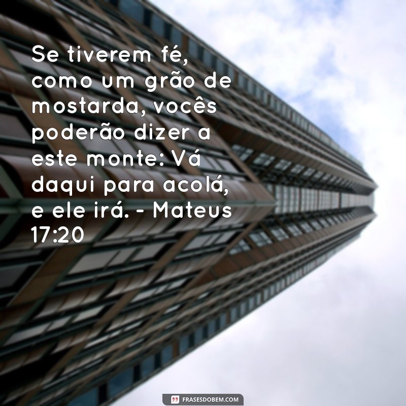 Os Melhores Versículos Bíblicos sobre Fé para Inspirar sua Caminhada Espiritual 