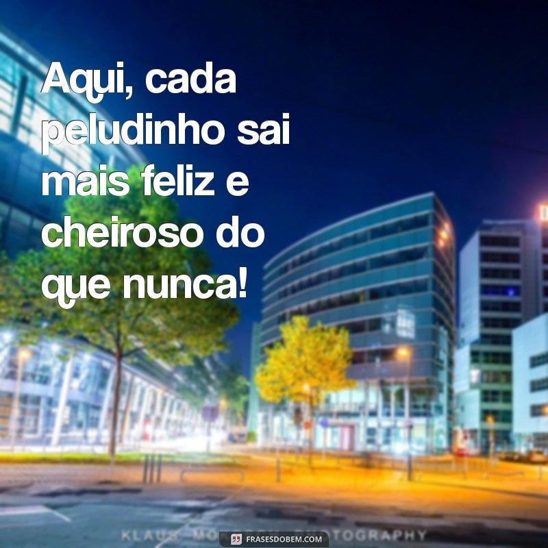 Frases Criativas para Banho e Tosa: Inspire-se e Encante Seus Clientes! 