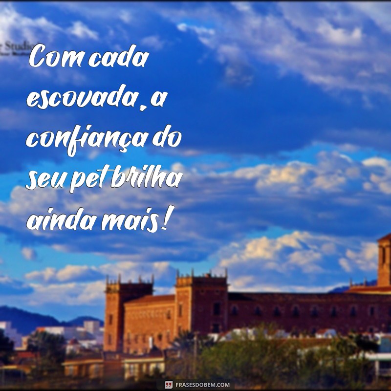 Frases Criativas para Banho e Tosa: Inspire-se e Encante Seus Clientes! 