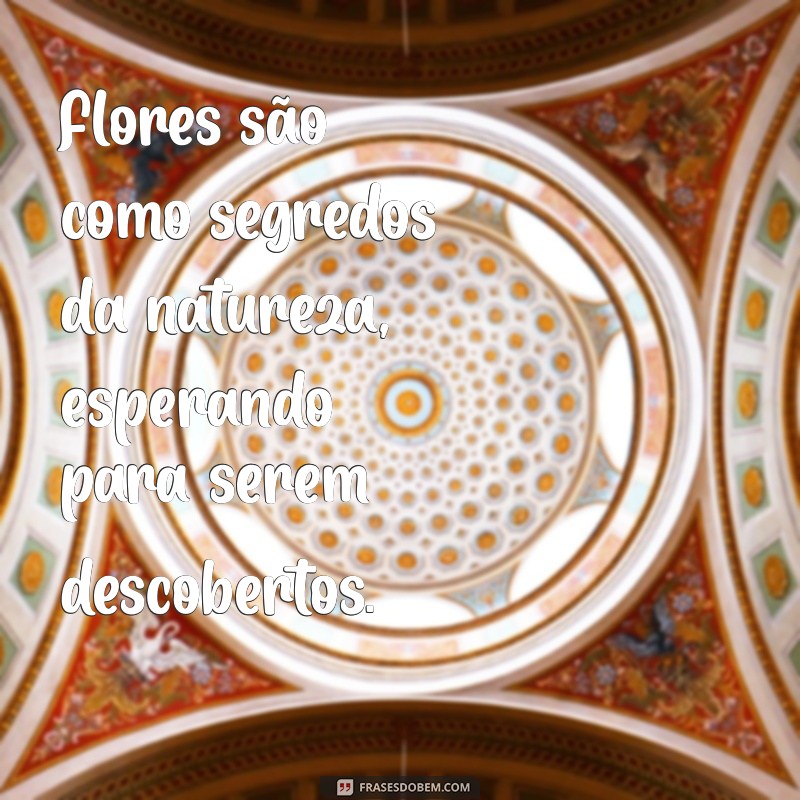 Frases Inspiradoras para Legendar Suas Fotos de Flores no Estilo Tumblr 