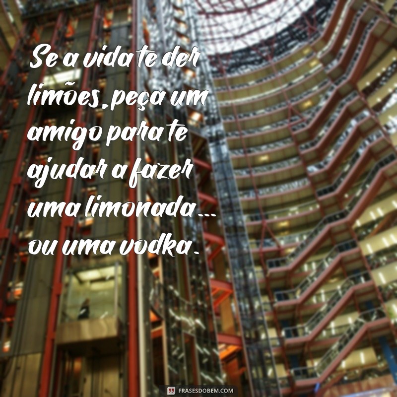 As Melhores Frases Engraçadas de Amizade para Compartilhar no Tumblr 