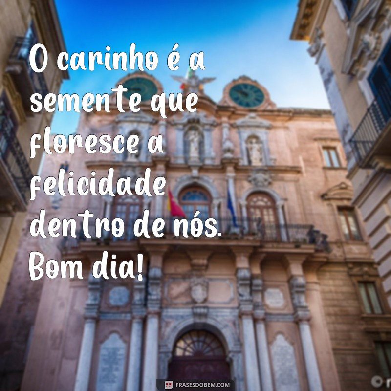 Descubra as melhores frases de carinho para começar o dia com amor e positividade 