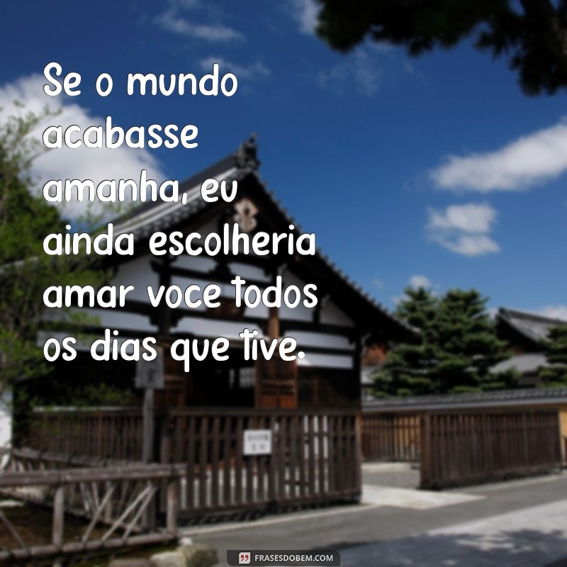 Frases de Amor Inspiradoras para Copiar e Compartilhar 