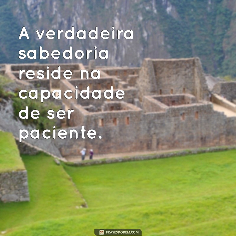 Frases Inspiradoras sobre Paciência: Cultivando a Calma e a Resiliência 