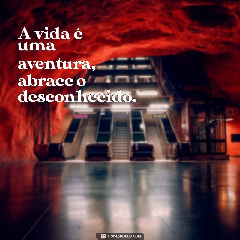 Frases Criativas para Acompanhar Suas Fotos no Feed do Instagram 