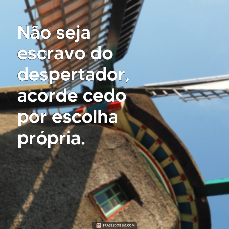 Descubra as melhores frases para se motivar e acordar cedo todos os dias! 