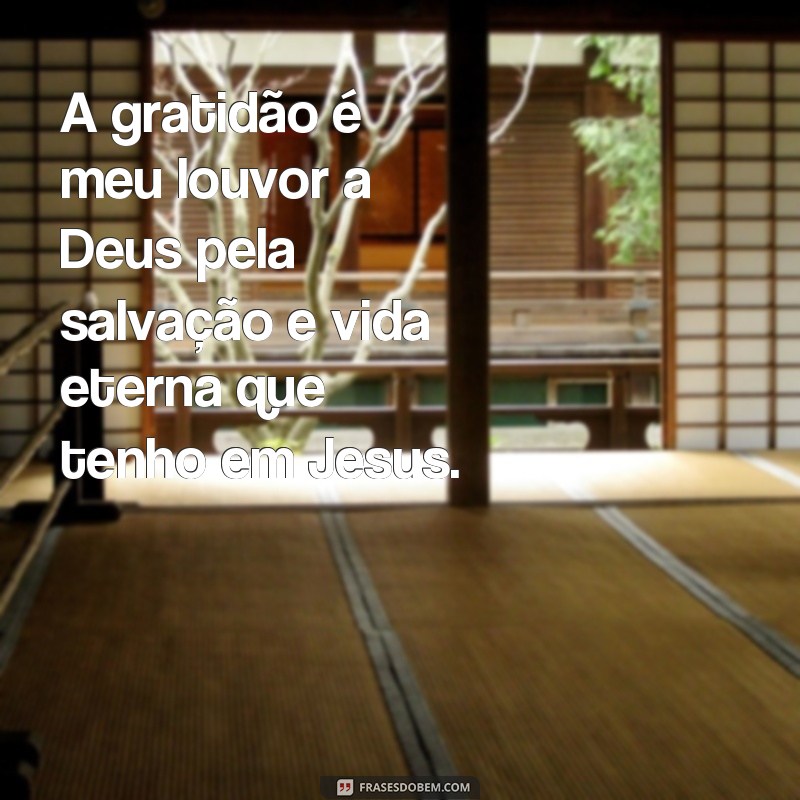 Descubra as mais belas frases bíblicas de gratidão a Deus para inspirar sua fé 