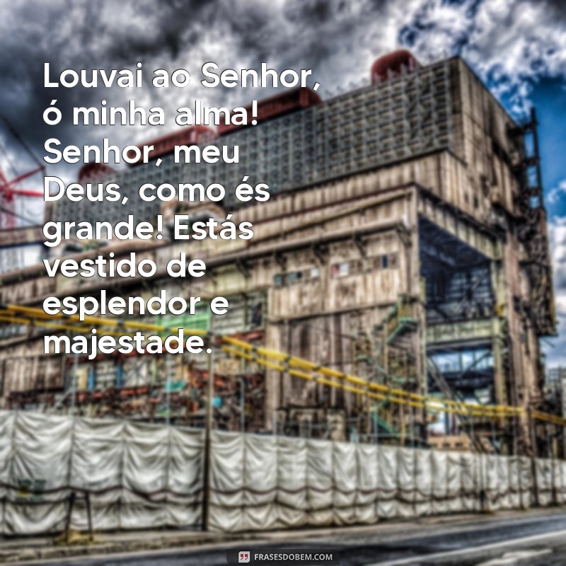 salmo 104 Louvai ao Senhor, ó minha alma! Senhor, meu Deus, como és grande! Estás vestido de esplendor e majestade.