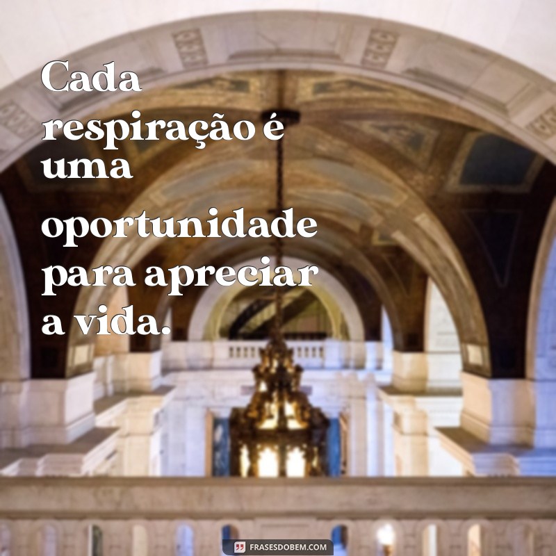 50 Frases Inspiradoras de Gratidão para Compartilhar no Tumblr 