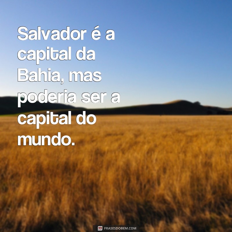 Descubra as melhores frases de Salvador para se inspirar e encantar! 