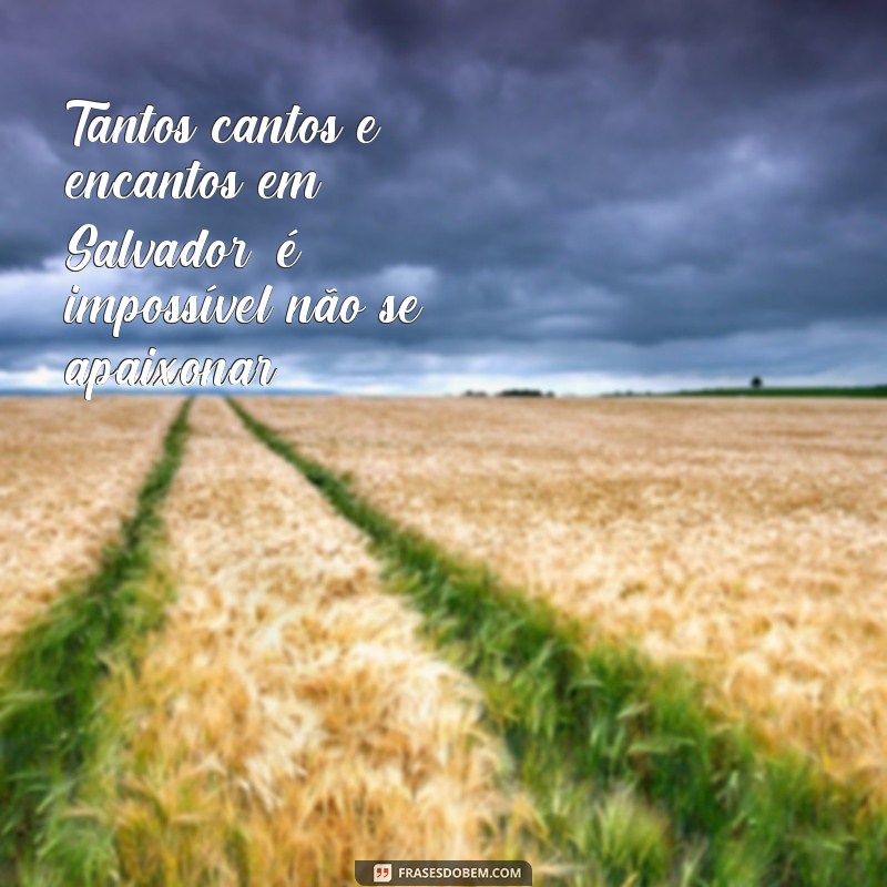 Descubra as melhores frases de Salvador para se inspirar e encantar! 