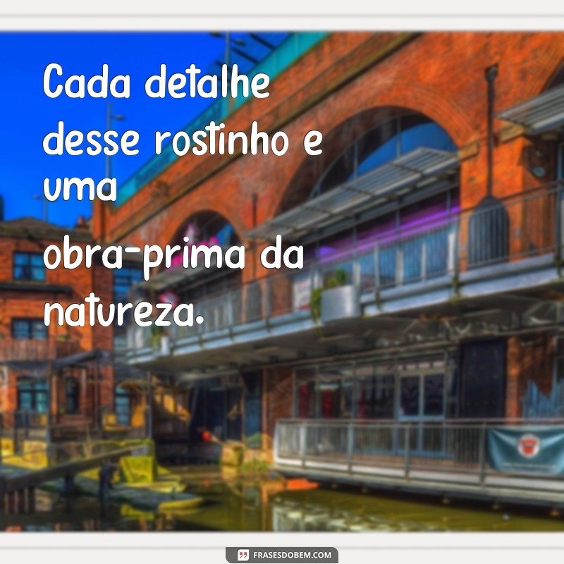 Encante-se com as melhores frases para legendar suas fotos de bebês! 