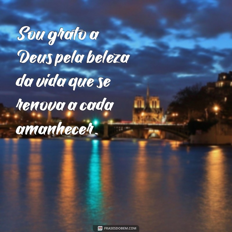 Como Agradecer a Deus por Mais um Dia: Reflexões e Frases Inspiradoras 