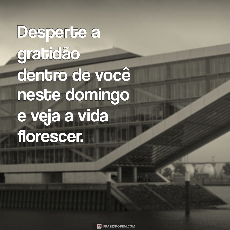 Domingo Motivacional: Dicas para Começar a Semana com Energia e Positividade 