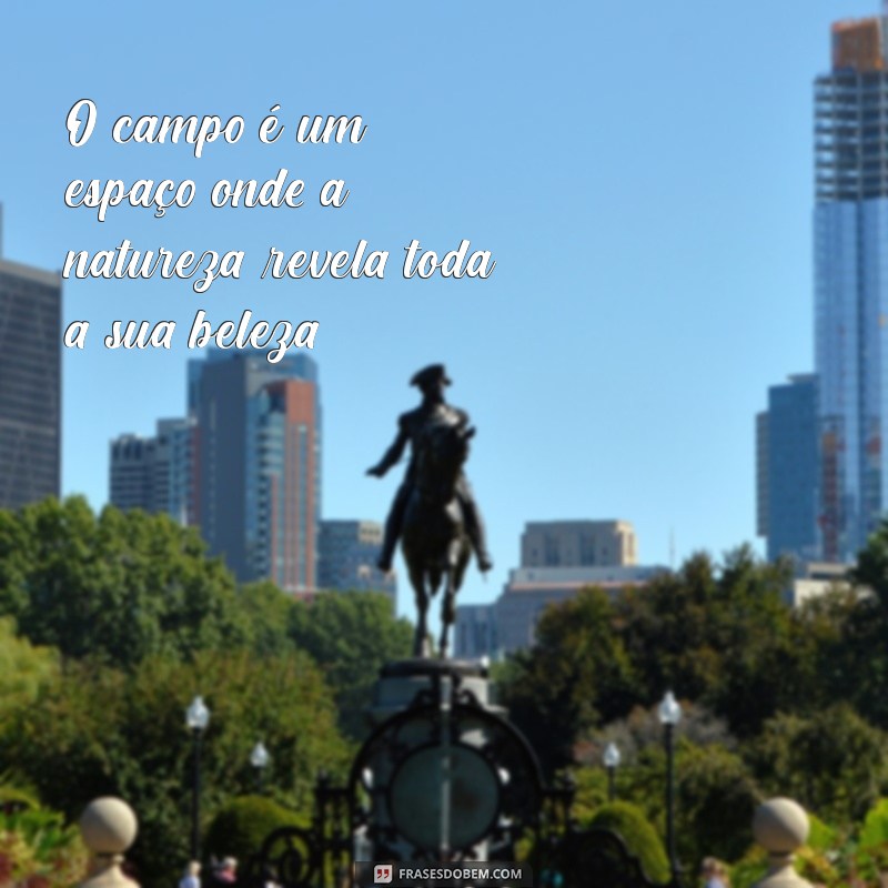 frases com a palavra campo O campo é um espaço onde a natureza revela toda a sua beleza.