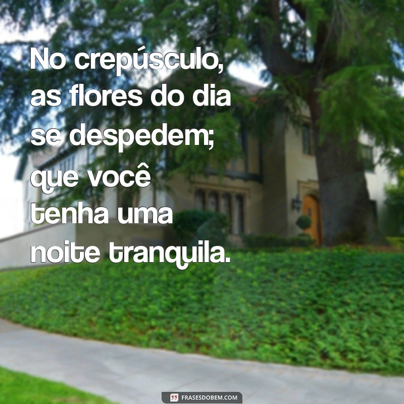 Frases Encantadoras e Flores para Desejar uma Boa Noite 