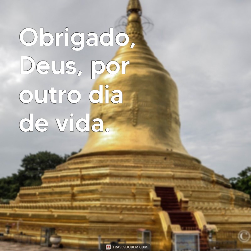 frases curtas de agradecimento a deus Obrigado, Deus, por outro dia de vida.