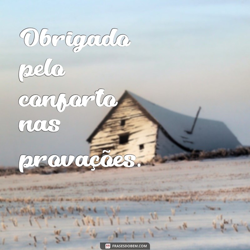 Frases Curtas e Inspiradoras de Agradecimento a Deus 