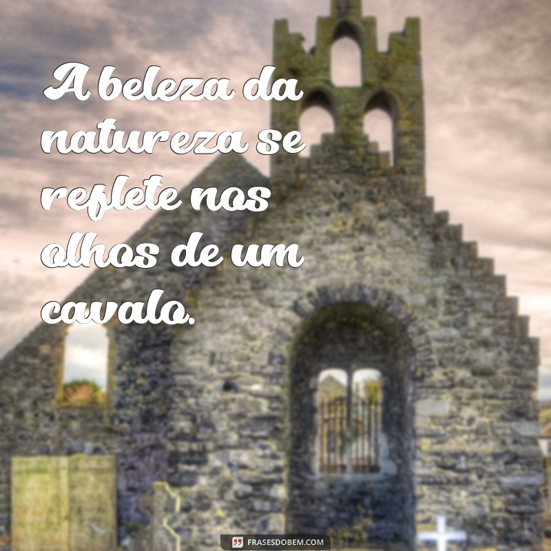 Melhores Frases para Acompanhar Suas Fotos de Cavalo: Inspiração e Criatividade 