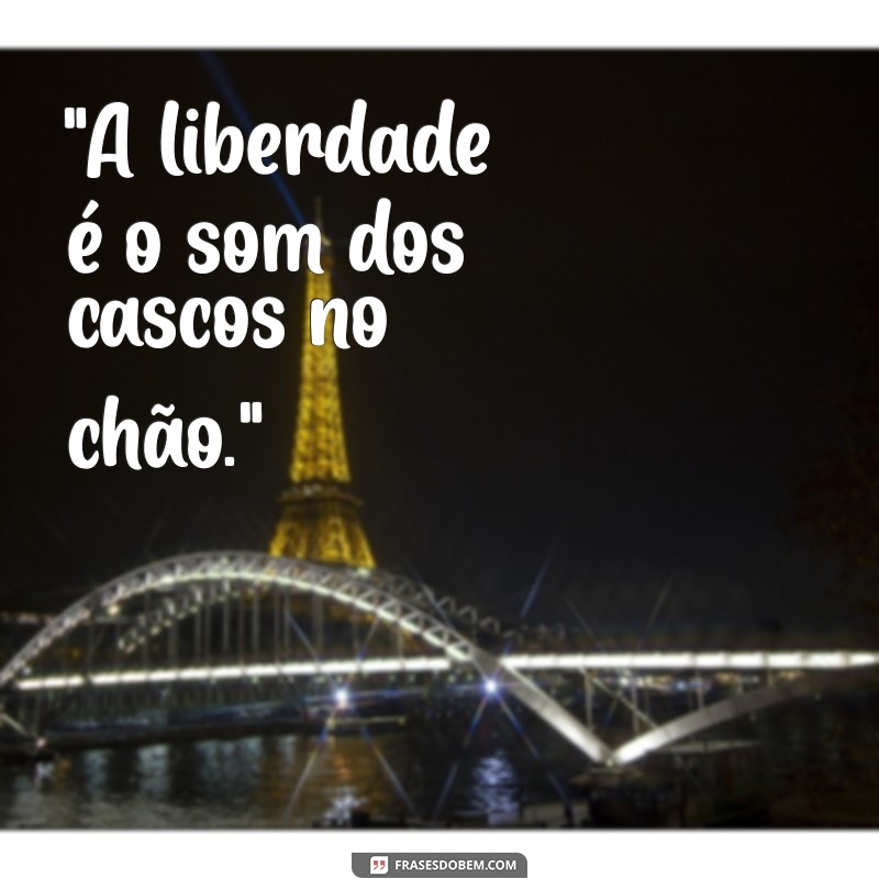 frases para fotos de cavalo 