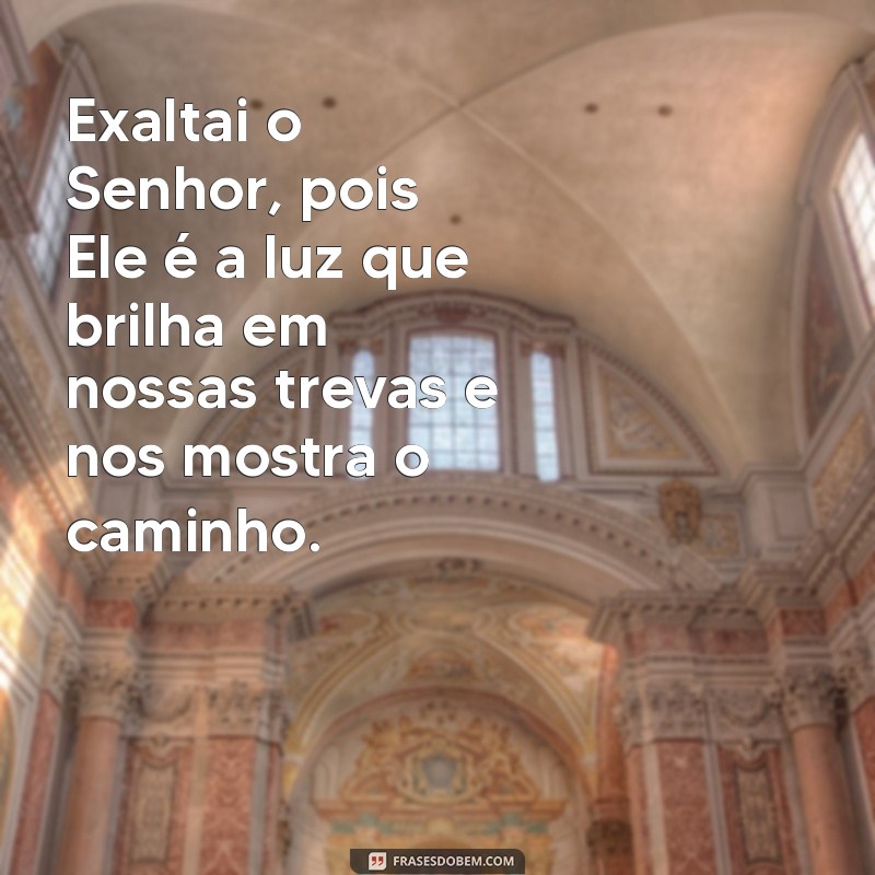 Versículos Inspiradores: Louvai ao Senhor e Renove Sua Fé 