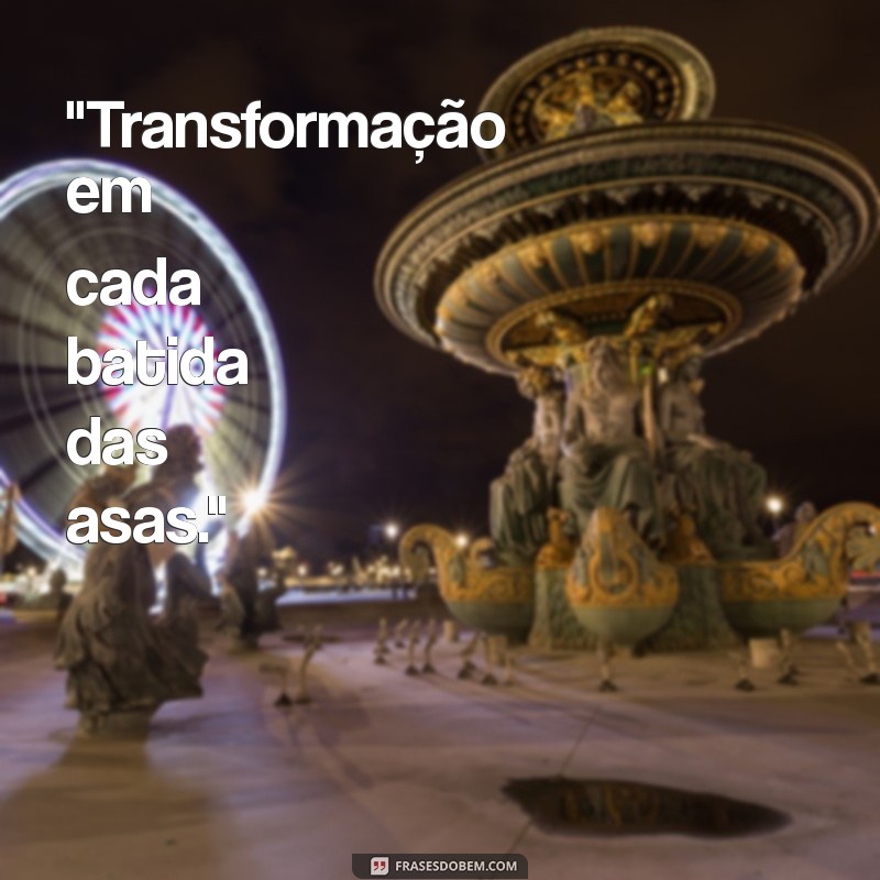 legenda borboleta 