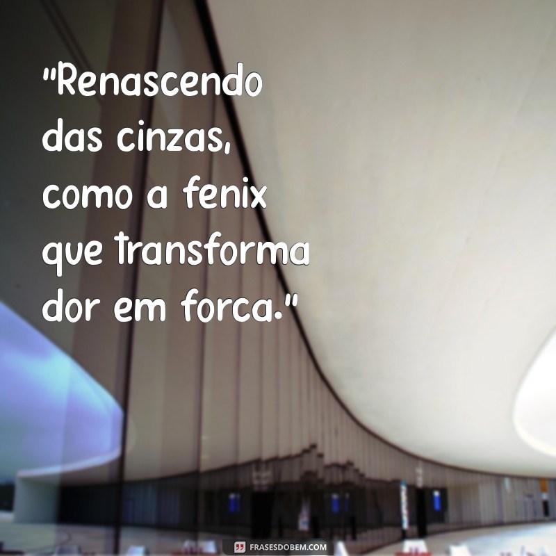 fenix frases 