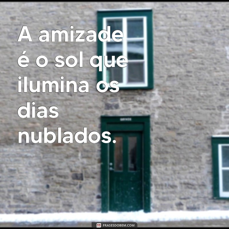 frazes de amizade A amizade é o sol que ilumina os dias nublados.