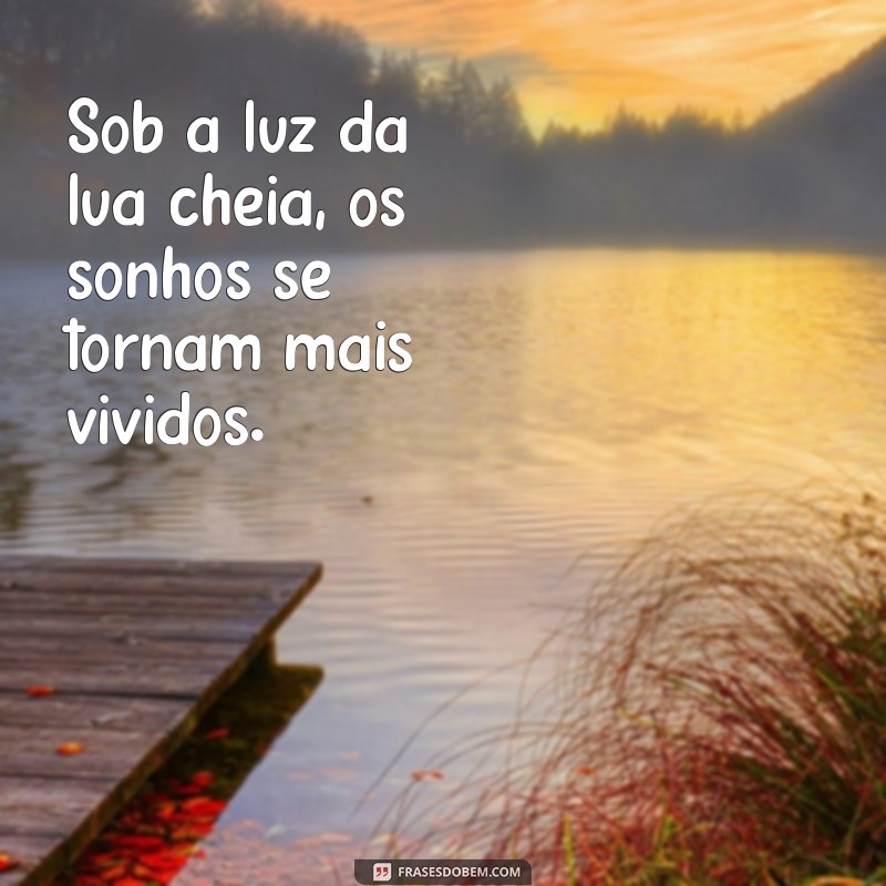 frases com lua cheia Sob a luz da lua cheia, os sonhos se tornam mais vívidos.