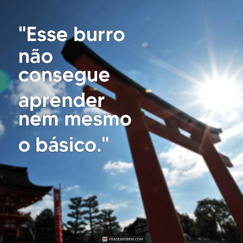 frases de burro 