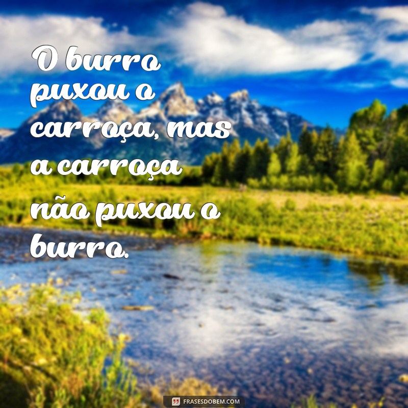 Descubra as melhores frases de burro para dar boas risadas! 