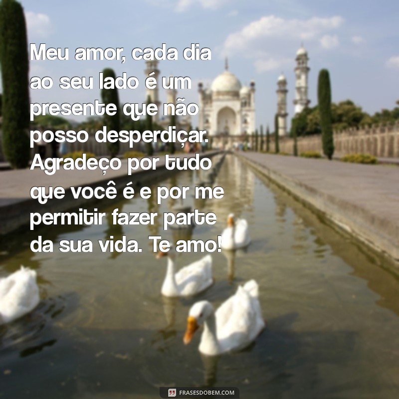 carta para namorada de amor Meu amor, cada dia ao seu lado é um presente que não posso desperdiçar. Agradeço por tudo que você é e por me permitir fazer parte da sua vida. Te amo!