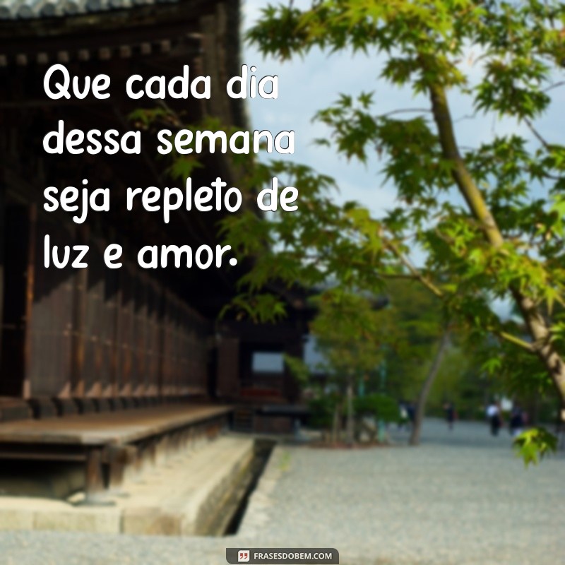 frases para semana abençoada Que cada dia dessa semana seja repleto de luz e amor.