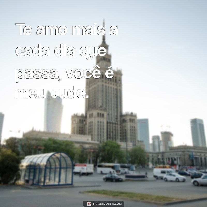 frases de te amo para esposa Te amo mais a cada dia que passa, você é meu tudo.