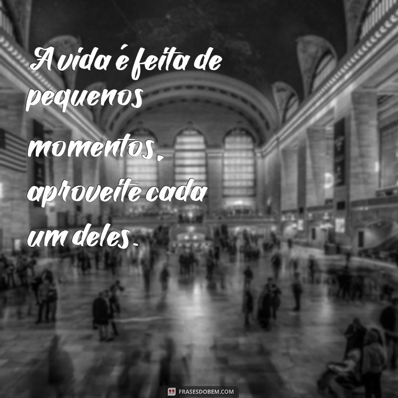 frases para bio do twitter A vida é feita de pequenos momentos, aproveite cada um deles.