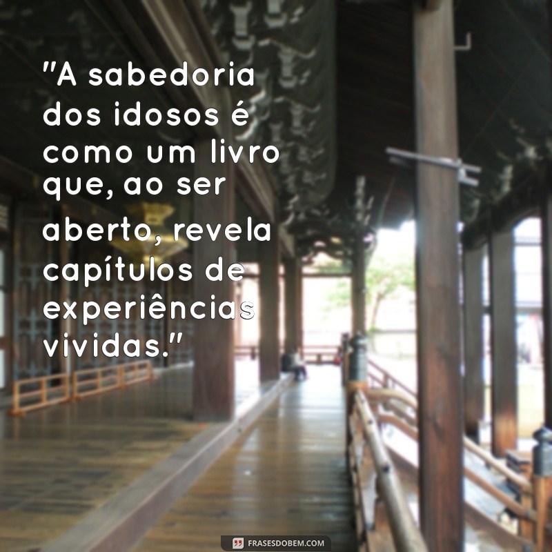 frases sobre idosos filosofos 