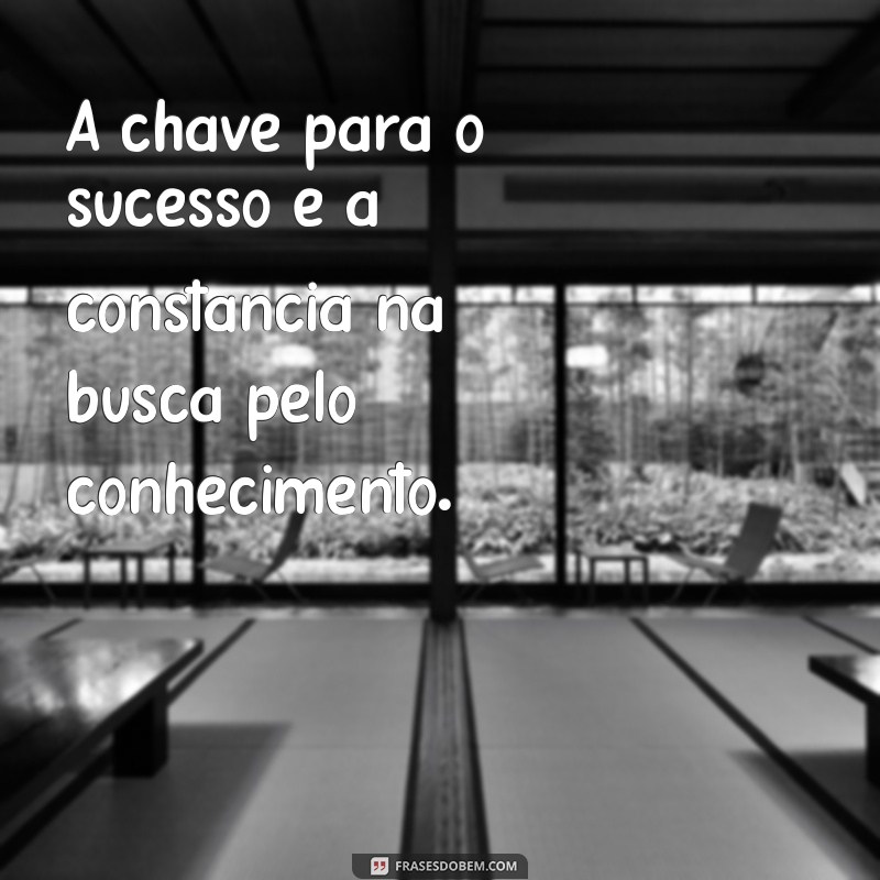 Frases Inspiradoras para Motivar Seus Estudos e Aumentar Seu Desempenho 